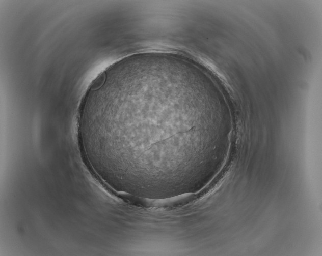 X0000115191463200911121812