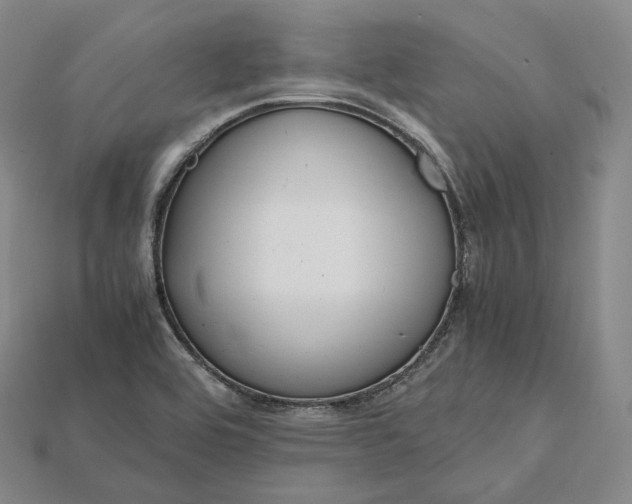 X0000115191464200911121812