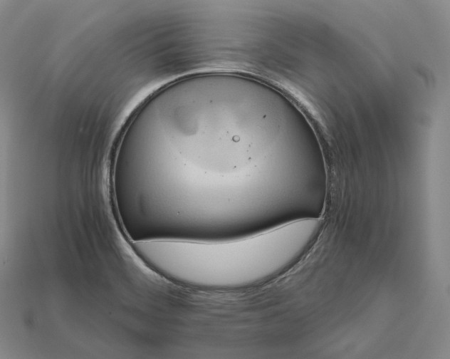 X0000115191468200911121812