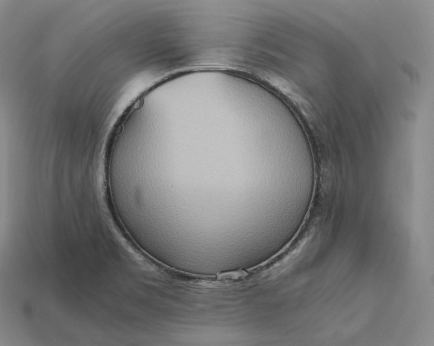 X0000115191469200911121812