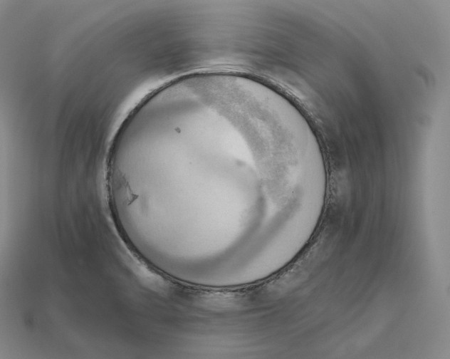 X0000115191470200911121812