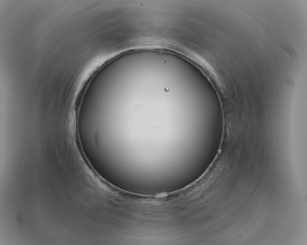 X0000115191472200911121812