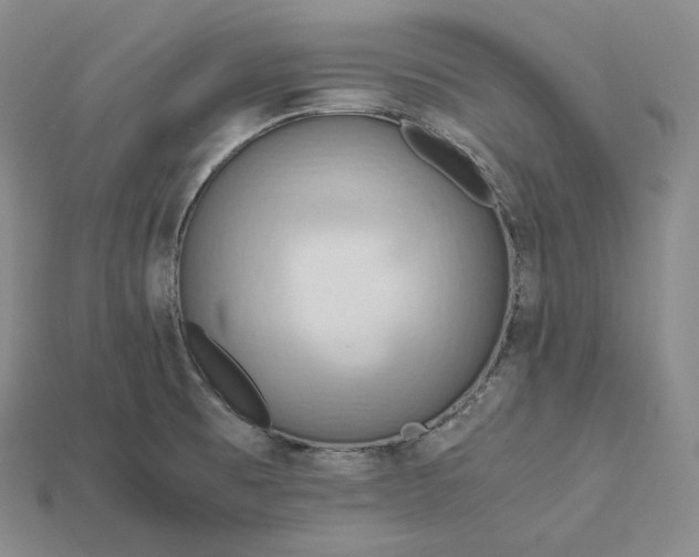 X0000115191473200911121812