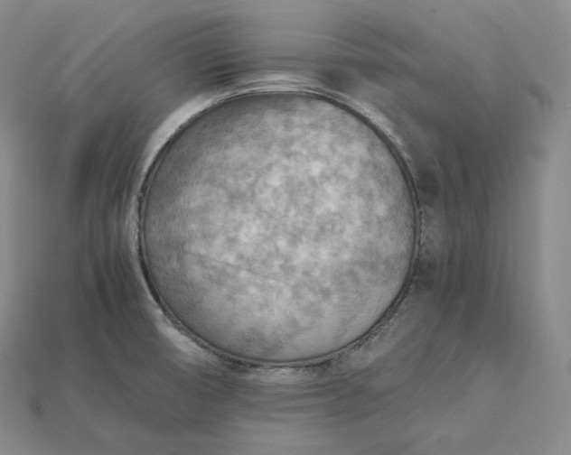 X0000115191474200911121812