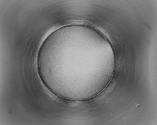 X0000115191475200911121812