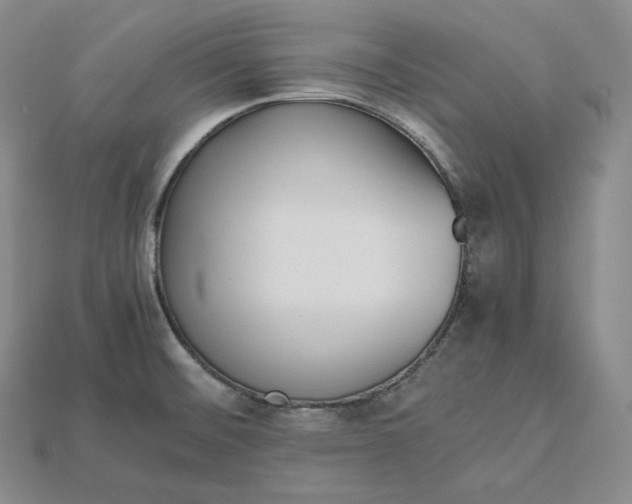 X0000115191476200911121812