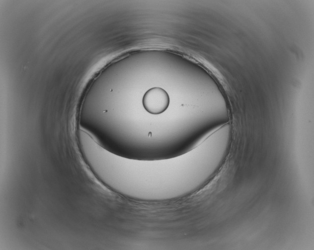 X0000115191477200911121812