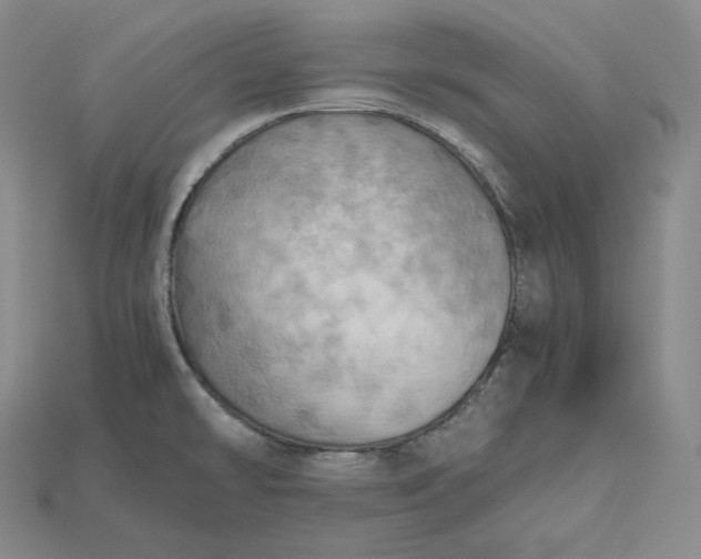 X0000115191478200911121812