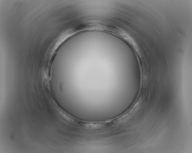 X0000115191481200911121812