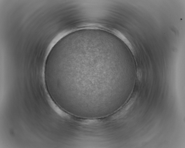 X0000115191482200911121812