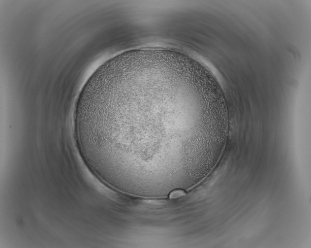X0000115191483200911121812