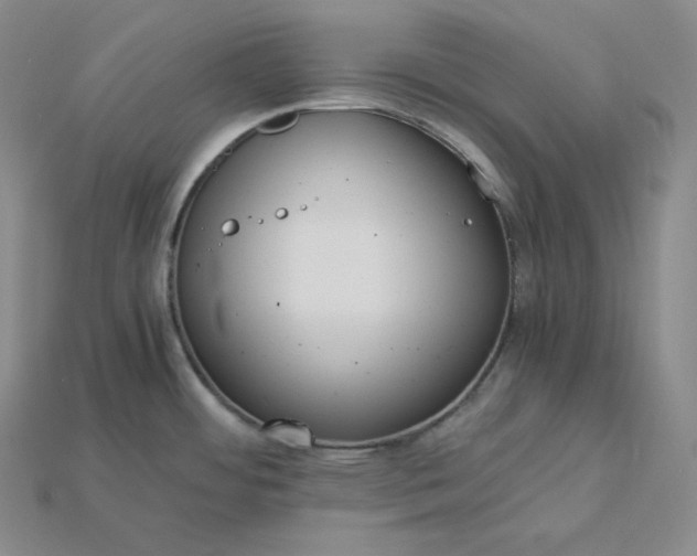 X0000115191484200911121812