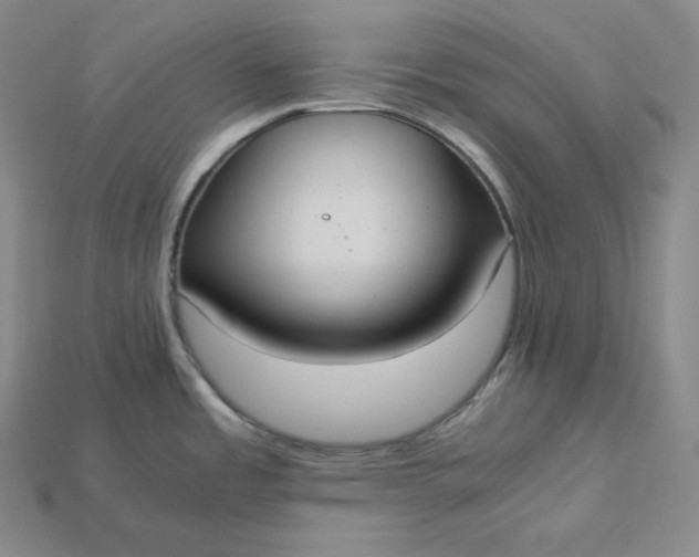 X0000115191485200911121812