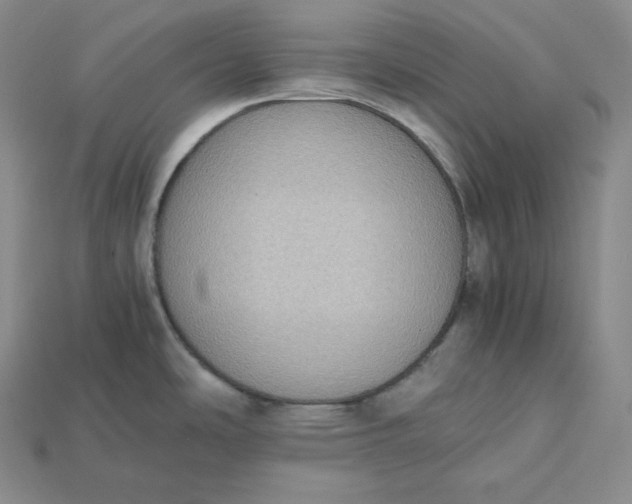 X0000115191486200911121812