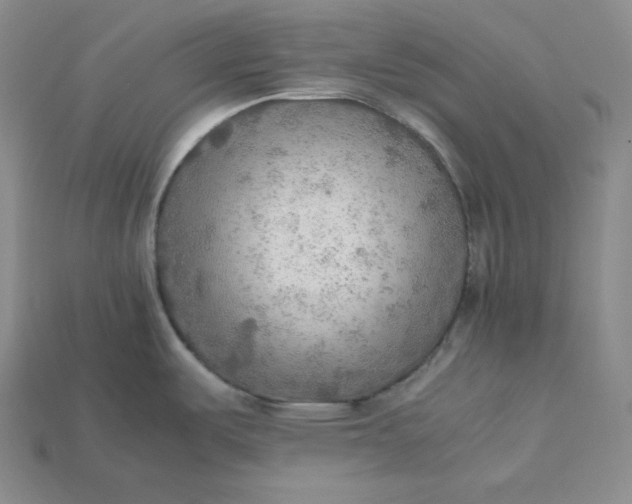 X0000115191487200911121812