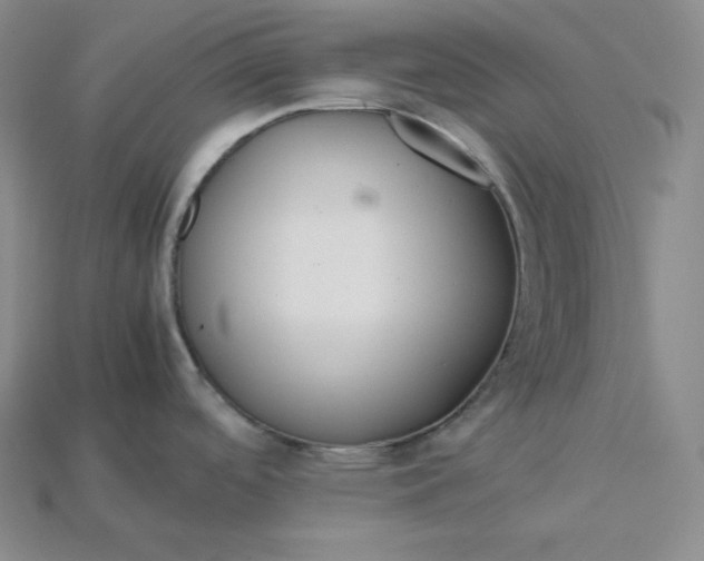 X0000115191488200911121812