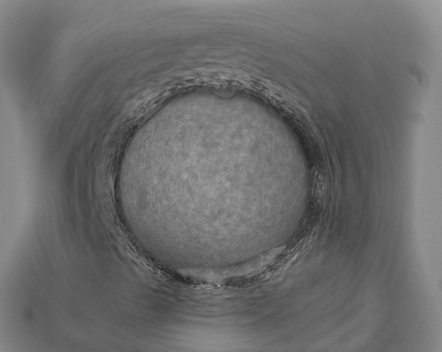 X0000115191489200911121811