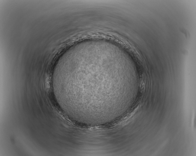 X0000115191490200911121811