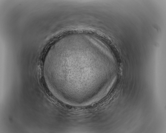 X0000115191493200911121811