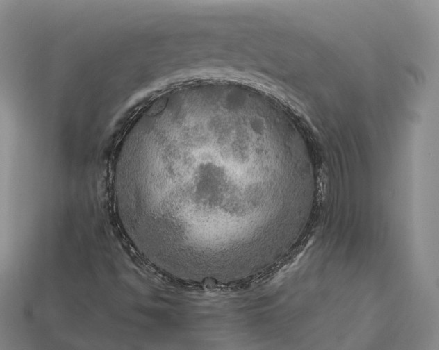 X0000115191494200911121811
