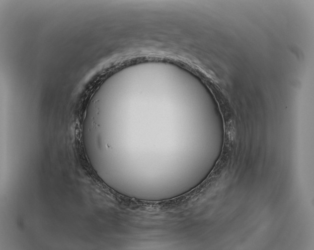 X0000115191495200911121811