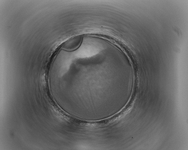 X0000115191497200911121811