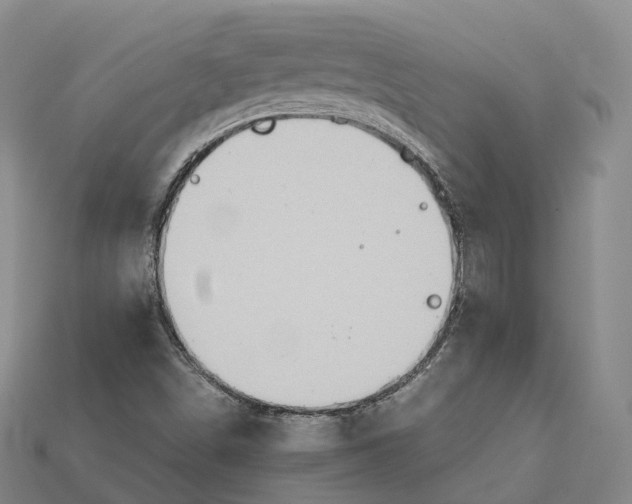 X0000115191498200911121811