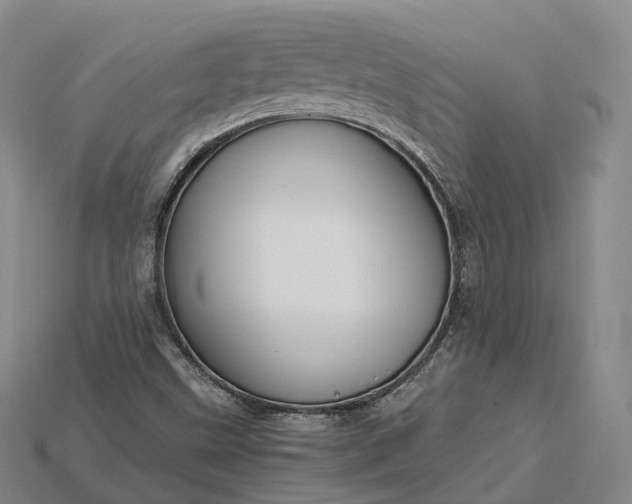 X0000115191499200911121811