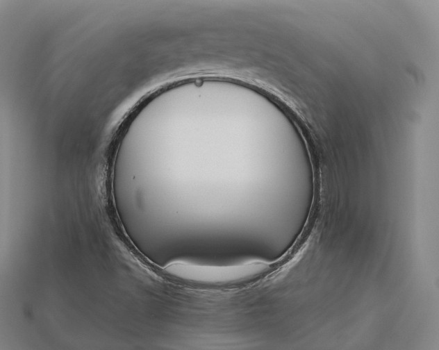 X0000115191502200911121811
