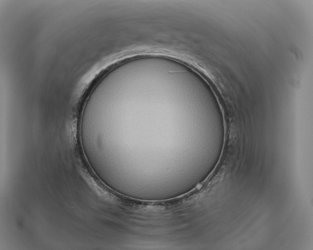 X0000115191503200911121811