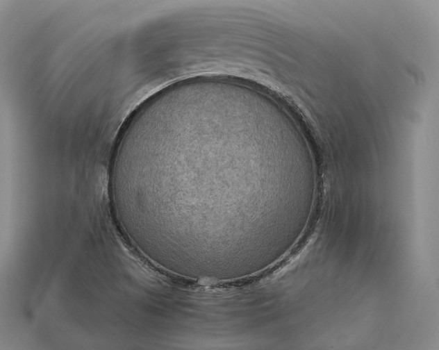 X0000115191505200911121811