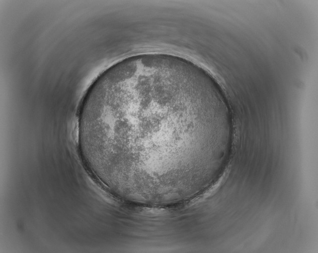 X0000115191509200911121811