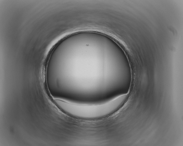 X0000115191510200911121811