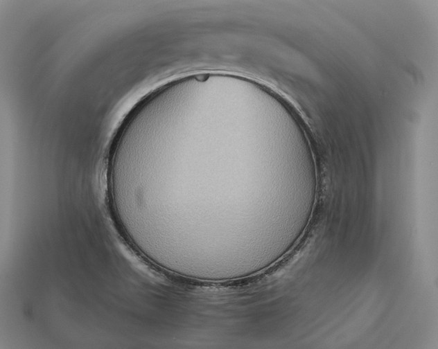 X0000115191511200911121811