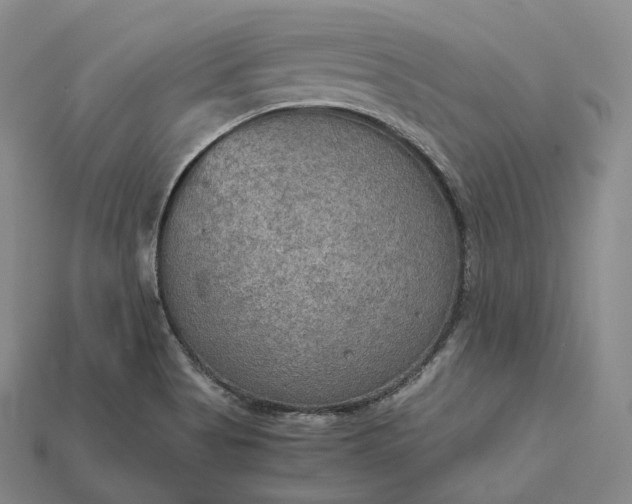 X0000115191513200911121811