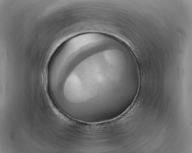 X0000115191515200911121811