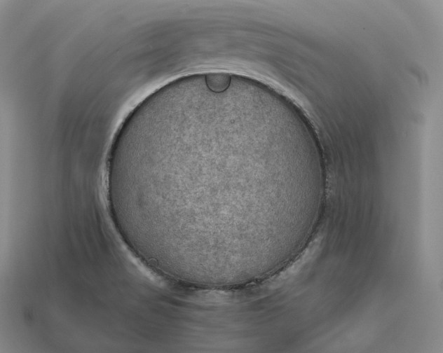 X0000115191517200911121811