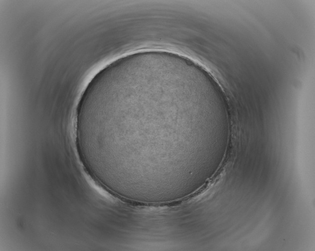 X0000115191519200911121811