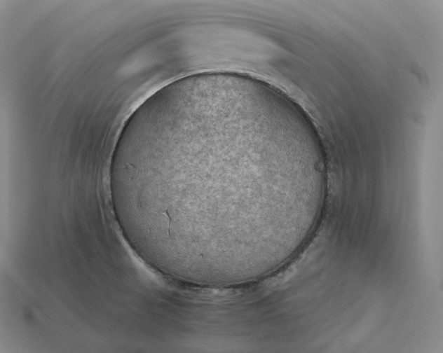 X0000115191521200911121811