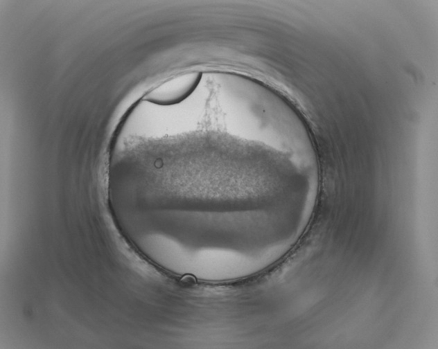 X0000115191522200911121811