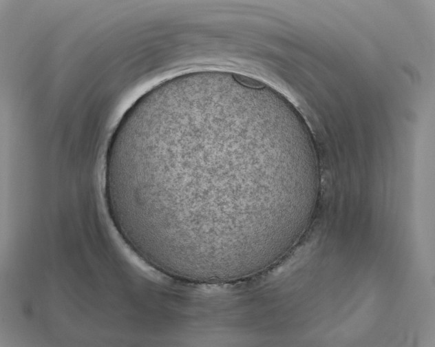 X0000115191523200911121811