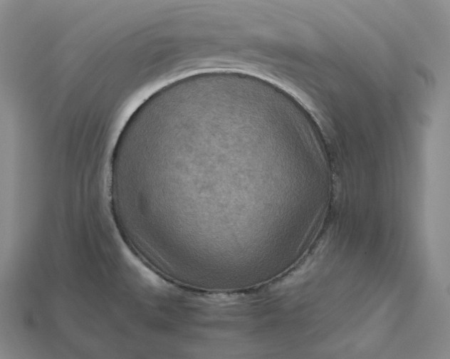 X0000115191527200911121811