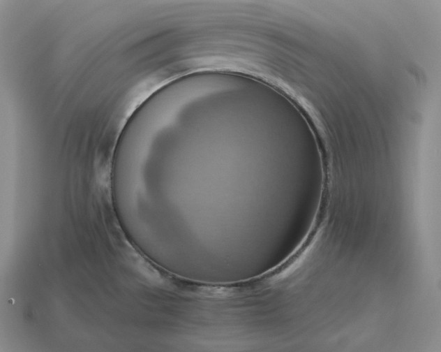 X0000115191529200911121812
