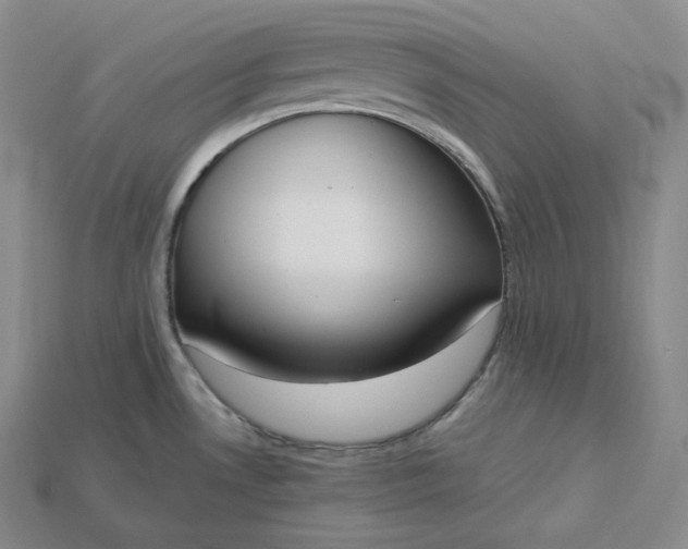 X0000115191530200911121812