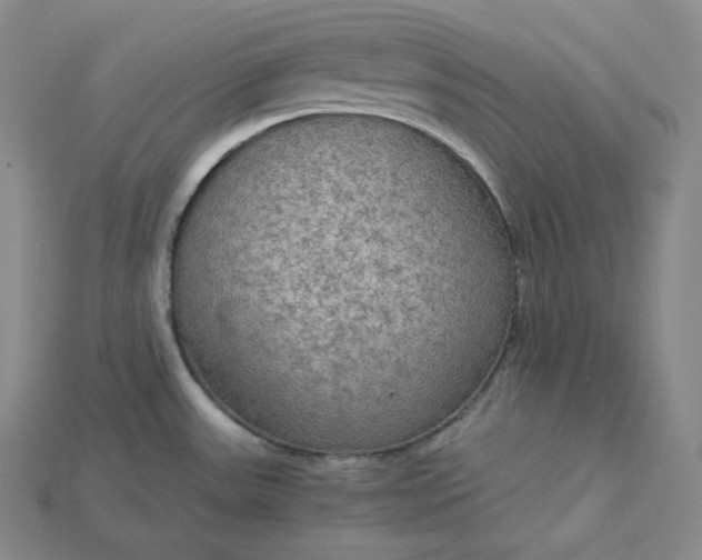X0000115191531200911121812