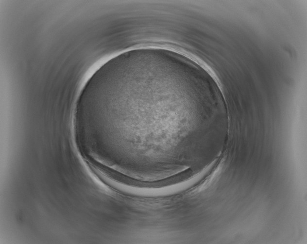X0000115191533200911121812
