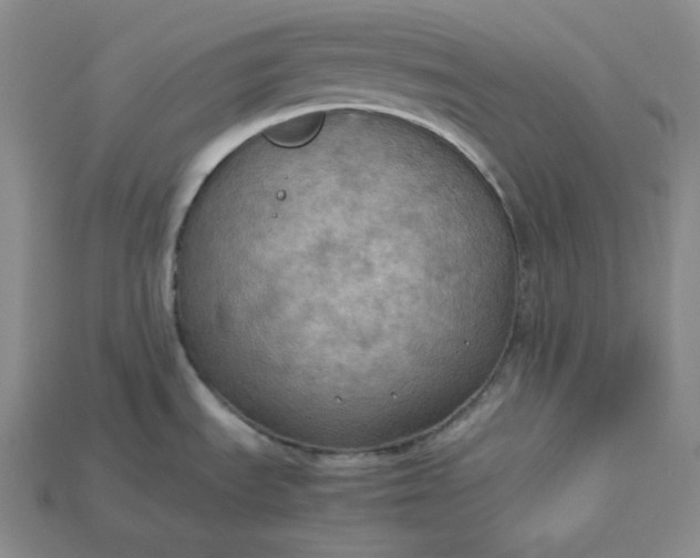 X0000115191535200911121812