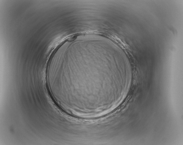 X0000115190002200911181457