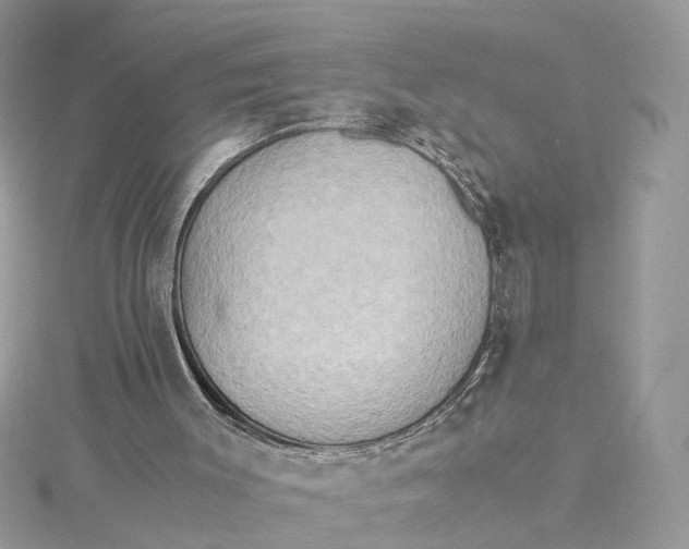 X0000115190003200911181457