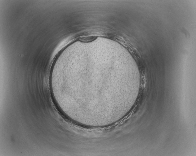 X0000115190004200911181457